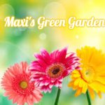 flowers | Maxi's Green Garden | image tagged in flowers,maxi's green garden,maxis green garden,slavic | made w/ Imgflip meme maker