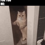 windows updates | MICROSOFT: WE HAVE AN UPDATE
FOR YOU
ME: | image tagged in gifs,cats,cat | made w/ Imgflip video-to-gif maker