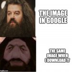 I swear the amount of pixels in said image just increases | THE IMAGE IN GOOGLE; THE SAME IMAGE WHEN I DOWNLOAD IT | image tagged in hagrid comparison,google images,image,images,download,why are you reading this | made w/ Imgflip meme maker