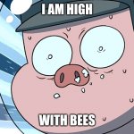 High Bees | I AM HIGH; WITH BEES | image tagged in pig on cocaine | made w/ Imgflip meme maker