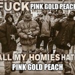 The one Mario Kart character I will delete from existence without hesitation | PINK GOLD PEACH PINK GOLD PEACH | image tagged in all my homies hate | made w/ Imgflip meme maker