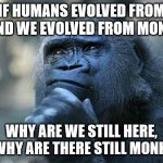 Deep Thoughts | IF HUMANS EVOLVED FROM US, AND WE EVOLVED FROM MONKEYS WHY ARE WE STILL HERE, AND WHY ARE THERE STILL MONKEYS? | image tagged in deep thoughts | made w/ Imgflip meme maker