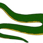 Paleo24 (Titanoboa Form)