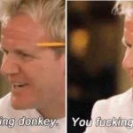 Gordon Ramsay You Fucking Donkey Twice template