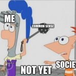 Not Yet Ferb | ME; COMMON SENSE; SOCIETY; NOT YET | image tagged in not yet ferb | made w/ Imgflip meme maker