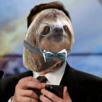 Sloth tweets as Elon Musk