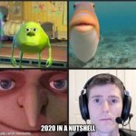 Zooooooooooooooooooooooooooooooooooooooom | 2020 IN A NUTSHELL | image tagged in silence | made w/ Imgflip meme maker