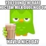 Upvote to accept | YOU FOUND THE RARE CHOCTAW MILK DUOLINGO OWL; HAVE A NICE DAY | image tagged in choccy milk | made w/ Imgflip meme maker