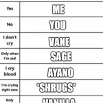 Put Characters/your OC's Here | YOU; ME; VANE; SAGE; AYANO; *SHRUGS*; VANILLA | image tagged in put characters here | made w/ Imgflip meme maker
