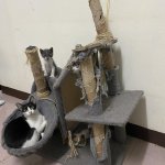 Cat tree for sale