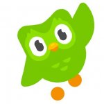 Duolingo Bird
