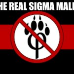 the real sigma | THE REAL SIGMA MALES | image tagged in anti-furrie | made w/ Imgflip meme maker