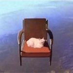 cat flying in a chair