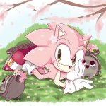 Sakura Sonic