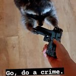 Go, do a crime