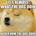 sad doge | IT’S ALWAYS WHAT THE DOG DOIN; NEVER HOW THE DOG DOIN | image tagged in sad doge | made w/ Imgflip meme maker