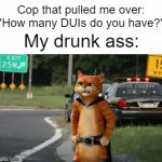 I literally forgot | Cop that pulled me over: "How many DUIs do you have?" My drunk ass: | image tagged in gifs,puss in boots | made w/ Imgflip video-to-gif maker