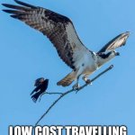 Branch Manager & Assistant Branch Manager | LOW COST TRAVELLING | image tagged in branch manager assistant branch manager | made w/ Imgflip meme maker