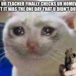 Image Title, but cool? | WHEN UR TEACHER FINALLY CHECKS UR HOMEWORK, BUT IT WAS THE ONE DAY THAT U DIDN’T DO IT: | image tagged in sad cat with gun | made w/ Imgflip meme maker