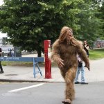 Sasquatch