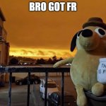 This is fine plush | BRO GOT FR | image tagged in this is fine plush,fr,memes | made w/ Imgflip meme maker