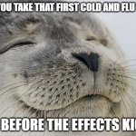 Bliss | WHEN YOU TAKE THAT FIRST COLD AND FLU TABLET, EVEN BEFORE THE EFFECTS KICK IN | image tagged in bliss | made w/ Imgflip meme maker