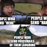 Tom chasing Harry and Ron Weasly | PEOPLE WHO SEND "HAHA"; PEOPLE WHO SEND "HEHE"; PEOPLE WHO SEND VOICEMAILS OF THEM LAUGHING | image tagged in tom chasing harry and ron weasly,memes,texting | made w/ Imgflip meme maker