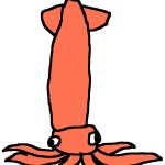 Calamari Toppin