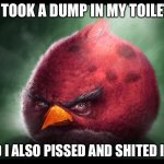 Realistic Angry Bird (big red) | I TOOK A DUMP IN MY TOILET; AND I ALSO PISSED AND SHITED IN IT | image tagged in realistic angry bird big red | made w/ Imgflip meme maker