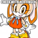 Cream meets Dee | CREAM: MR DUCKY! *TOUCHES DEE’S CHEEK WITH HER FINGER* | image tagged in cream the rabbit sonic adventure design | made w/ Imgflip meme maker