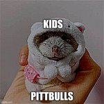 Pitbulls vs kids | KIDS; PITTBULLS | image tagged in holding hamster,memes,change my mind,funny memes,boardroom meeting suggestion,one does not simply | made w/ Imgflip meme maker