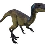 Masiakasaurus