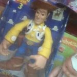 ohio woody