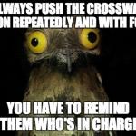 Pootoo Bird | I ALWAYS PUSH THE CROSSWALK BUTTON REPEATEDLY AND WITH FORCE... YOU HAVE TO REMIND THEM WHO'S IN CHARGE | image tagged in pootoo bird | made w/ Imgflip meme maker