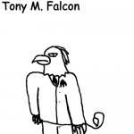 Tony Manchester Falcon