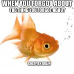 You are now stupid | WHEN YOU FORGOT ABOUT; THE THING YOU FORGOT ABOUT; GOLDFISH BRAIN | image tagged in bad memory goldfish,stupid | made w/ Imgflip meme maker