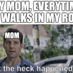 Nothing is ever clean | MY MOM, EVERYTIME SHE WALKS IN MY ROOM:; MOM | image tagged in antman what the heck happened here | made w/ Imgflip meme maker