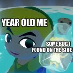 12 year old me be like | 12 YEAR OLD ME; SOME BUG I FOUND ON THE SIDE WALK | image tagged in legend of zelda fairy in a bottle | made w/ Imgflip meme maker