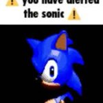 you have alerted the sonic