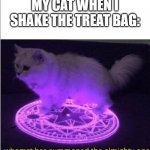 No, I don't actually have a cat XD | MY CAT WHEN I SHAKE THE TREAT BAG: | image tagged in who has summoned the almighty one | made w/ Imgflip meme maker