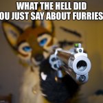 Furries are people too! They are not zooph*les! | WHAT THE HELL DID YOU JUST SAY ABOUT FURRIES? | image tagged in furry with gun | made w/ Imgflip meme maker