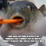 pufferfish eating carrot | I DONT WANT ANYTHING NO UPVOTES OR COMMENTS JUST A MOMENT FOR THE IMGFLIP COMUNITY TO REALIZE THAT THIS IA A VERY CUTE IMAGE. | image tagged in pufferfish eating carrot | made w/ Imgflip meme maker