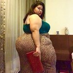 Bbw cheetah