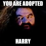adoption | YOU ARE ADOPTED; HARRY | image tagged in your a wizard harry,adopted | made w/ Imgflip meme maker