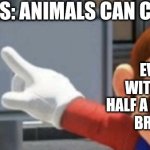 In short: Zoophiles aren't valid, and they never will be. | ZOOPHILES: ANIMALS CAN CONSENT. EVERYONE WITH AT LEAST HALF A FUNCTIONING BRAIN CELL. | image tagged in mario no sign | made w/ Imgflip meme maker