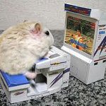gamer hamster :)