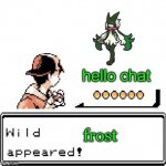 Wild frost appears