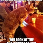 cat bar drinking | YOU KNOW ITS BEEN ONE OF THOSE DAYS AT WORK WHEN; YOU LOOK AT THE END OF THE BAR AND EVEN A CAT IS DOING SHOTS | image tagged in cat bar drinking | made w/ Imgflip meme maker