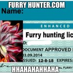 Furry Hunting License Template | FURRY HUNTER.COM; HHAHAHAHHAHA | image tagged in furry hunting license template | made w/ Imgflip meme maker