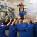i opened my lays chips today and one if my friends offered to marry me for one | chips; my friends | image tagged in bow down the cat,chips | made w/ Imgflip meme maker